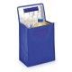 BOLSA NEVERA KEIXA CERES TEXTIL Y PUBLICIDAD