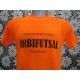 CAMISETA TÉCNICA PERSONALIZADA ALICANTE HOMBRE ACQUA ROYAL CERES TEXTIL Y PUBLICIDAD