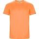 CAMISETA TÉCNICA IMOLA POLIESTER RECICLADO