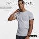 CAMISETA TECKEL 100% ALGODÓN ROLY HOMBRE