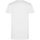 CAMISETA COLLIE 100% ALGODÓN ROLY HOMBRE