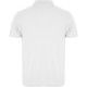 POLO AUSTRAL 100% ALGODÓN HOMBRE