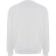 SUDADERA BATIAN ALGODÓN ORGÁNICO Y POLIÉSTER RECICLADO. M/L ROLY UNISEX