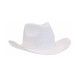 SOMBRERO DE PAJA