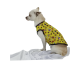 TRAJE MASCOTAS FIZ  FULL PRINT CERES TEXTIL Y PUBLICIDAD