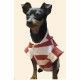 SUDADERA MASCOTA ROQUE  FULL PRINT CERES TEXTIL Y PUBLICIDAD