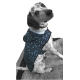 TRAJE MASCOTAS REIS FULL PRINT CERES TEXTIL Y PUBLICIDAD
