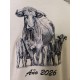 CAMISETA ALGODÓN PERSONALIZADA DOGO PREMIUM ROLY CERES TEXTIL Y PUBLICIDAD BARATA